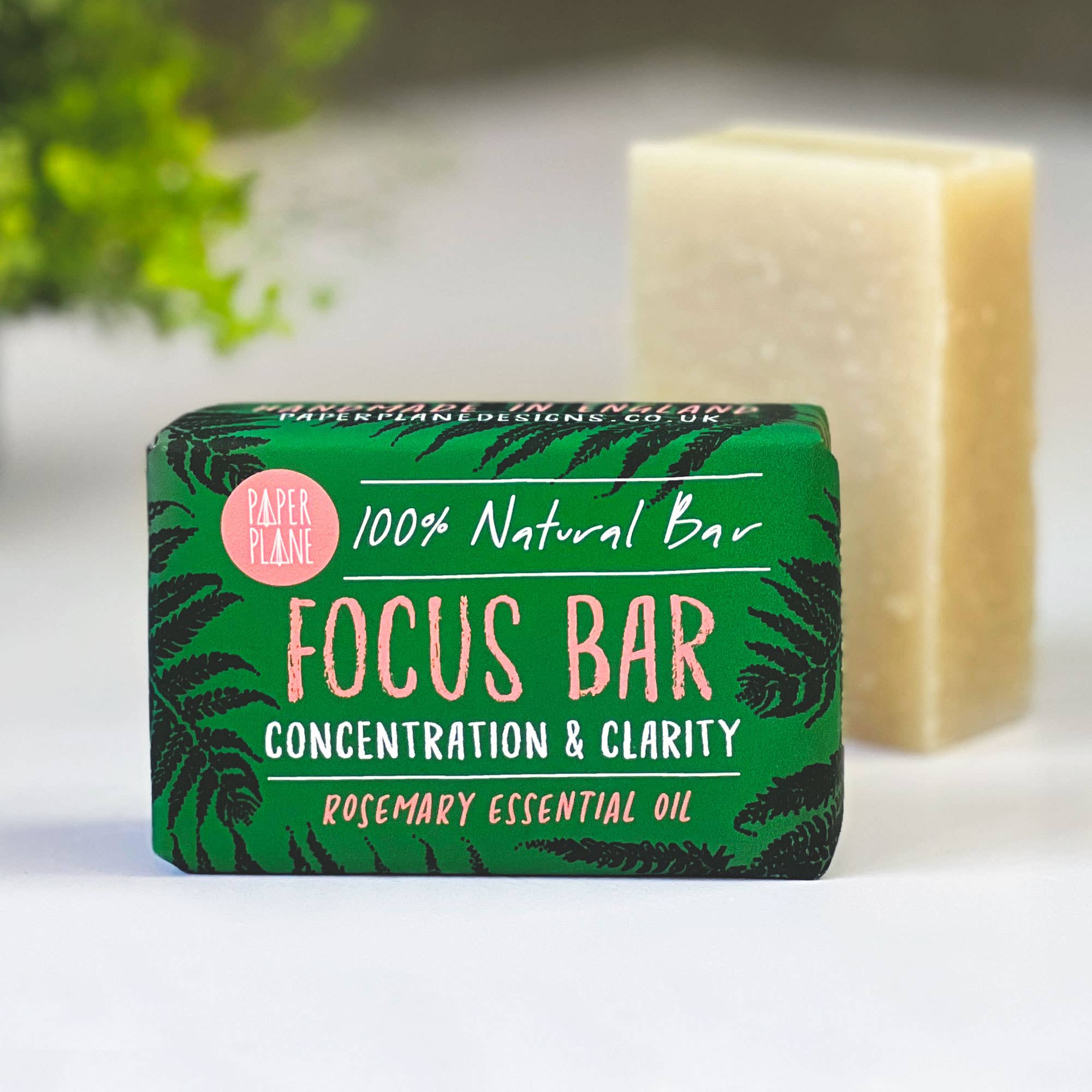 Paper Plane Focus Bar - Rosemary Soap