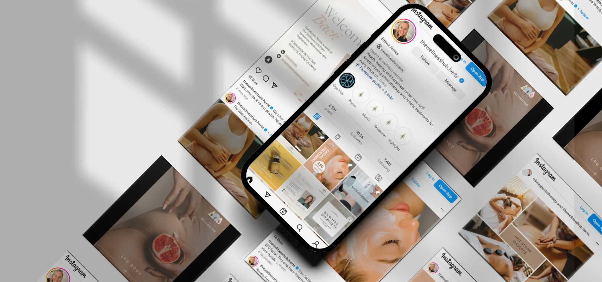 The Wellness Hub